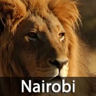 Tickets to Nairobi