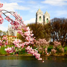cheap flights to Newark