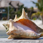 Cultural-&-Historical-Holidays-in-Mexico-th