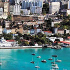 salvador-th