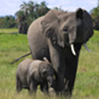 Top-3-African-Adventure-Destinations-to-Plan-Holiday-th