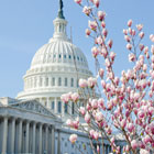 washington-th