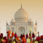 Taj-Mahal-Agra-th
