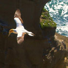 Auckland-West-Coast-th