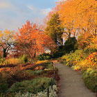 Fort-Tryon-Park-th