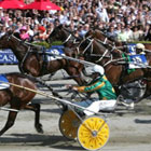 New-Zealand-Cup-th