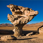 The-Arbol-de-Piedra-th