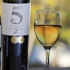Top-3-Picnic-Spots-In-the-Cape-Winelands-Where-Family-&-Friends-Can-Spend-a-Day-th
