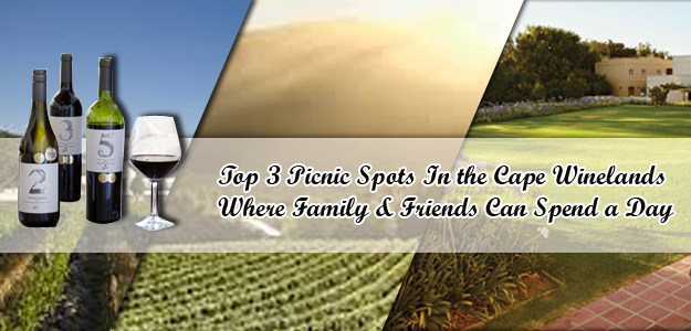 Top-3-Picnic-Spots-In-the-Cape-Winelands-Where-Family-&-Friends-Can-Spend-a-Day