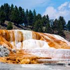 yellow-stone-th