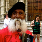 Havana-Cigar-th