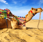 Jaisalmer-th