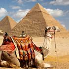 Camel-Safari-th