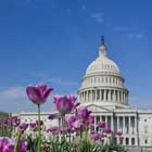 washington-DC-th
