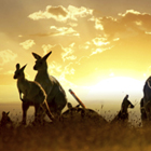 australia-th