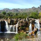Beaverlac