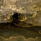 Animal Flower Cave