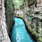 Paradise River