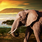 kenya-th