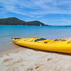 new-zealand-th