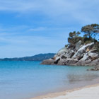 Tapapakanga-Regional-Park-th