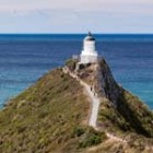 nugget-point-th