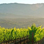 Napa-Valley-th