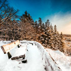 Snow-Festivals-th