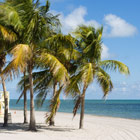 miami-th