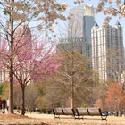 Georgia-th