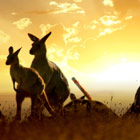 australia-th
