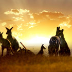 australia-th