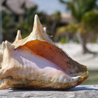 mexico-th