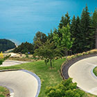 new-zealand-th