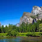california-thj