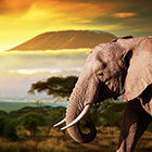 kenya-th