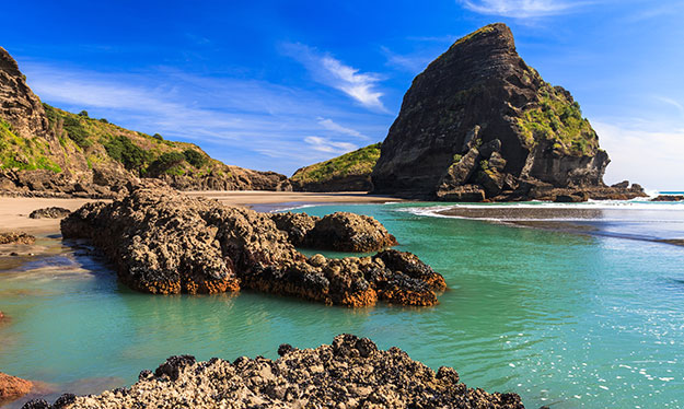 new-zealand
