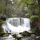 Tasmania