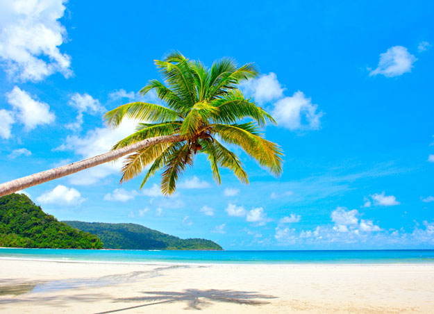beaches