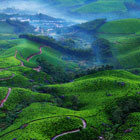 munnar-th