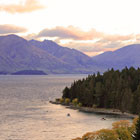 New-Zealand-th