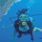 Snorkelling-th