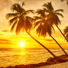 Carribean Island