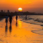 Muscat