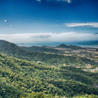 Daintree-National-Park-th