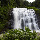 Coorg, India