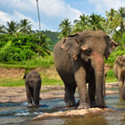 srilanka-th